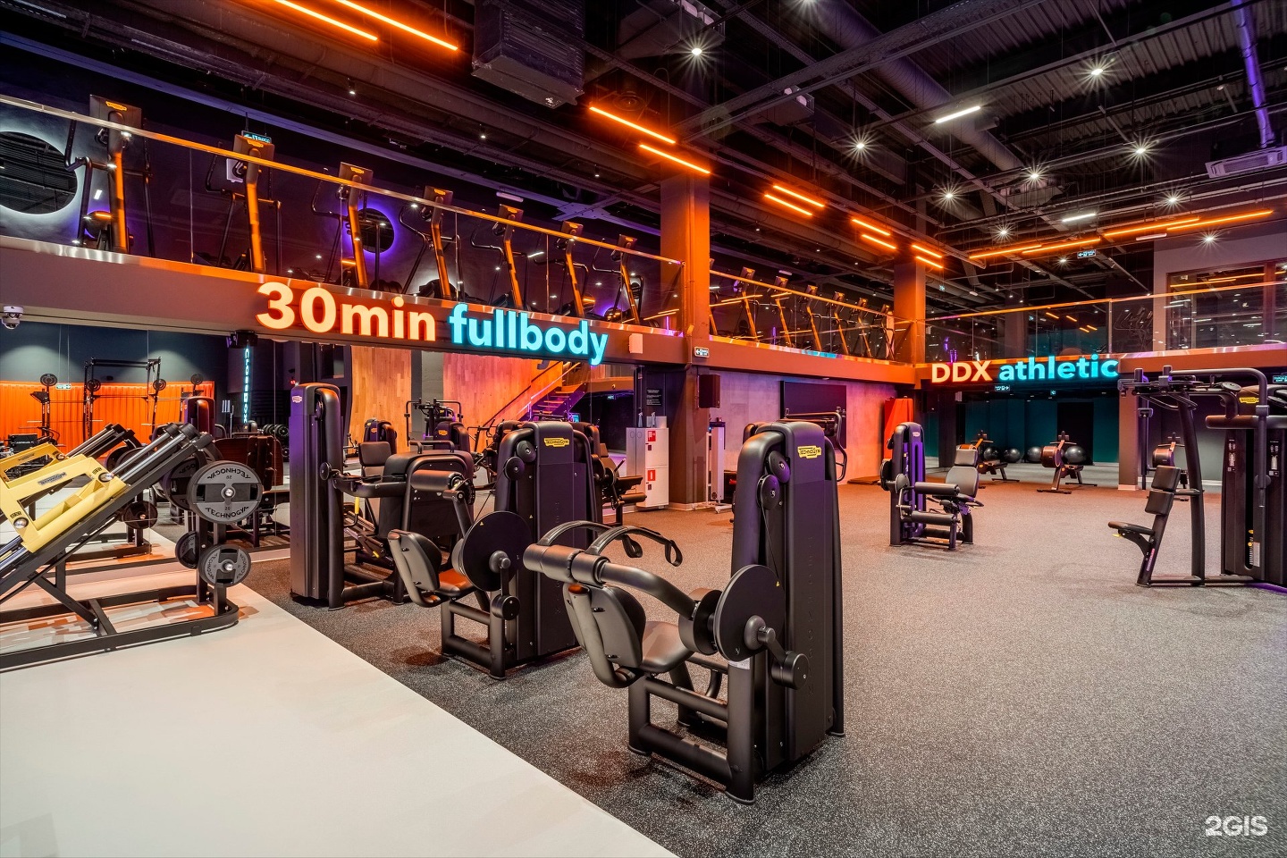 Ddx fitness щукинская