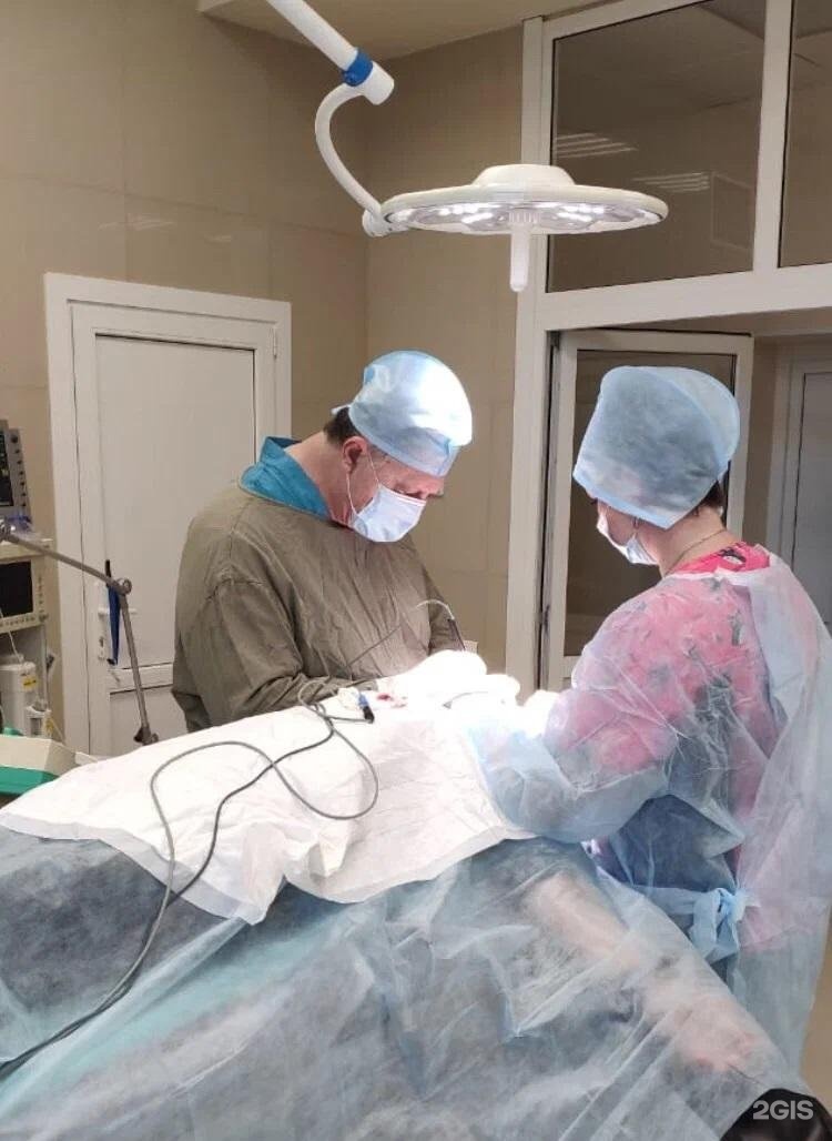 клиника доктор ч на ростовской. доктор ч. клиника доктор ч воронеж. ростовская 46б воронеж клиника доктора ч. доктор ч на ипподромной.