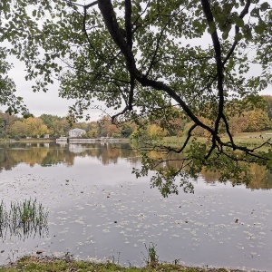 Фото от владельца Кузьминки, парк культуры и отдыха