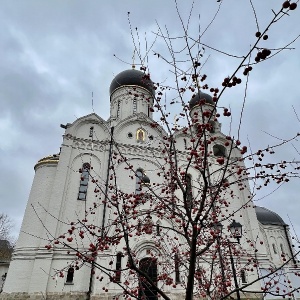 Фото от владельца Храм Преподобного Серафима Саровского в Раеве