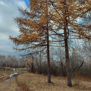 Фото от владельца Экологический парк, МБУ