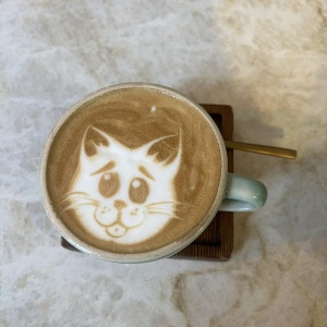 grumpy cat coffee foam