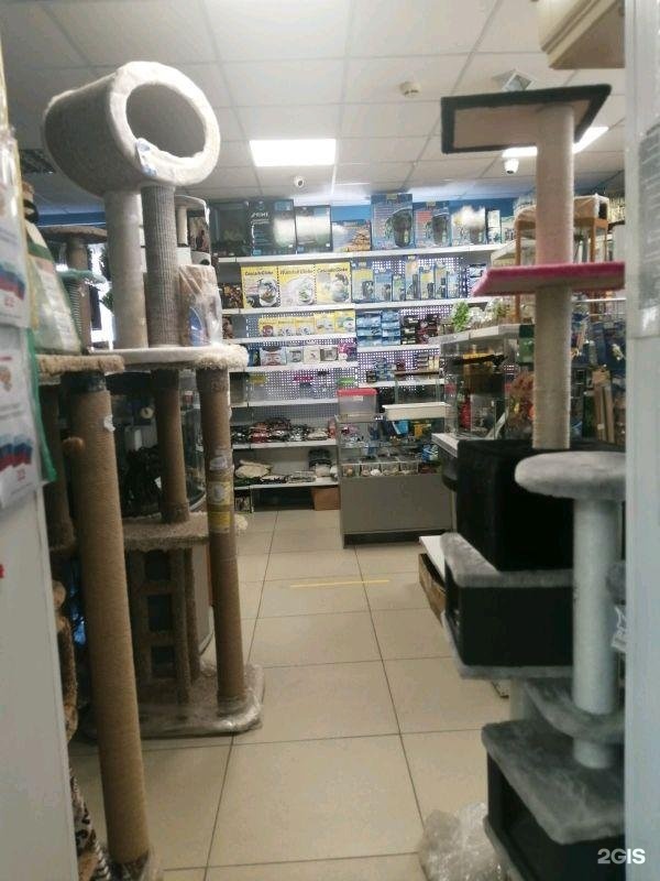 зоомагазин в каспийске на ленина. зоомагазин ленинский проспект 119. первый зоомагазин красноярск. зоомагазин никольское. ленина 26 красноярск.