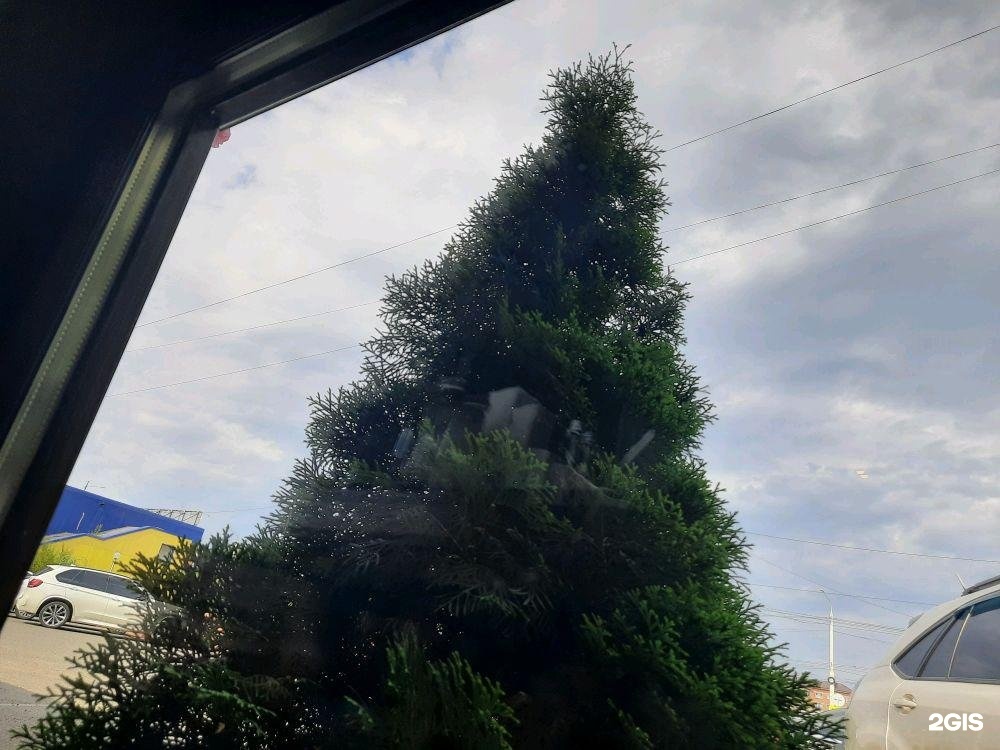 Красный путь 89 1 омск. Омская 89 омск. Красный путь 89 1 омск. Хибара омск ресторан официальный сайт. Красный путь 89 1 омск.