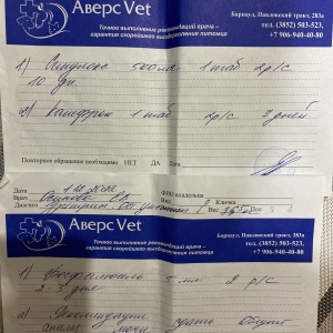Фото от владельца Аверс Vet, краевой ветеринарный диагностический центр