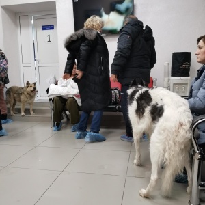 Фото от владельца Иркутская городская станция по борьбе с болезнями животных