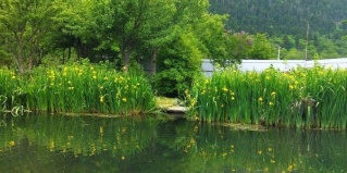 Теберда: Отель Кипрей