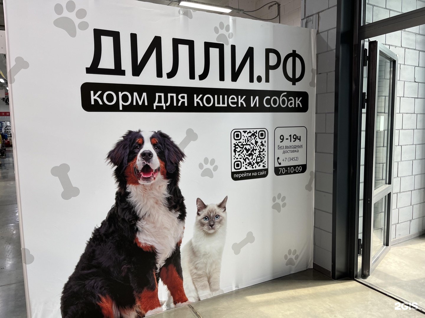 Можно с собаками в тц. Собака в ТЦ. Зоны для собак в ТЦ Москвы.