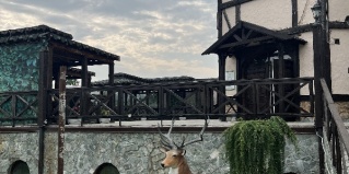 Ая: Турбаза Сар-Герел Алтая