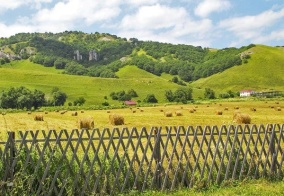 Турбаза Восход в Краснодарском крае