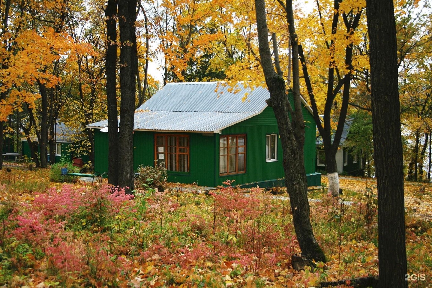 Лагерь жигули самарская. Лагерь Жигули Самарская область. ДООЦ Жигули Зольное. Оздоровительный лагерь Жигули Зольное.