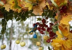 Отель Белый Яр в Костромской области