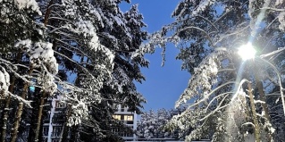 Владимир: Отель Vania rooms