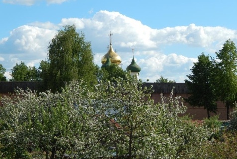 Суздаль: Гостевой дом У Заставы