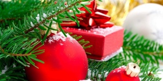 Ярославль: Отель Южный