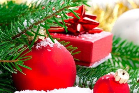 Ярославль: Отель Южный