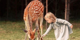 Киржачский район: Апартаменты Артколхоз