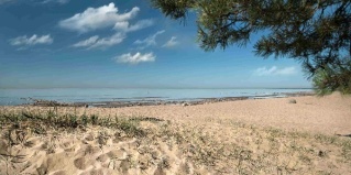 Зеленогорск: Санаторий Первая Линия. Health Care Resort