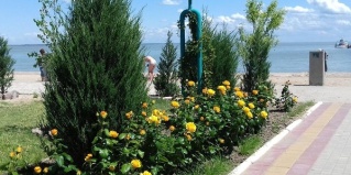 Ейск: Отель Новинка