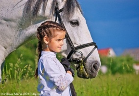 Отель Ярославль в Ярославской области