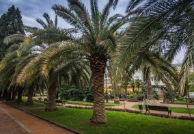 Отель Grand Gallery by Provence в Сочи