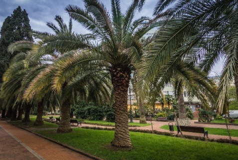 Сочи: Отель Grand Gallery by Provence