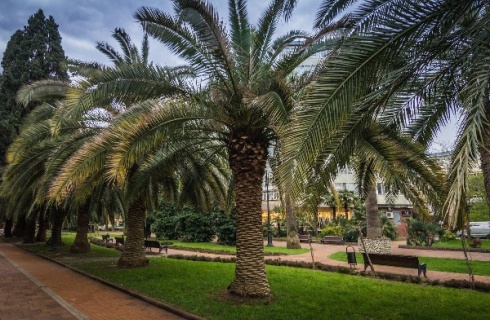 Сочи: Отель Grand Gallery by Provence