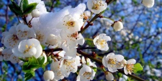 Железноводск: Санаторий Сaнaторий им. З0-лeтия Пoбeды