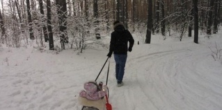 Владимир: Отель Ладога