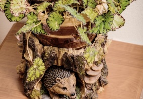 Хостел Дом Охотника в Томской области