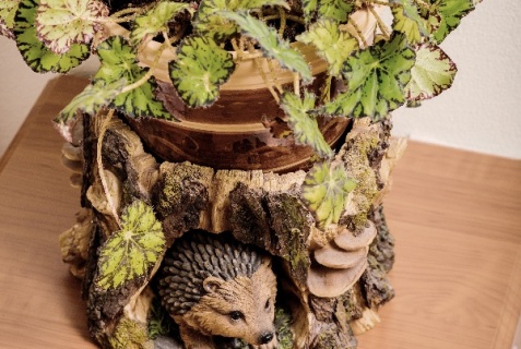 Томск: Хостел Дом Охотника