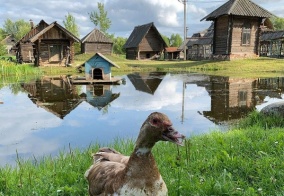 Гостевой дом Мышкин двор в Мышкине