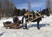 пос. Тюгурюк: Турбаза Медвежья гора в Усть-Коксе