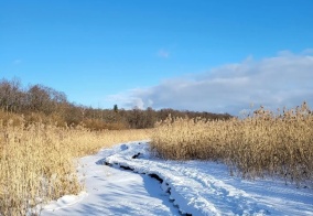 Коттедж Гостевой дом в Санкт-Петербурге