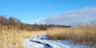 Санкт-Петербург: Коттедж Гостевой дом