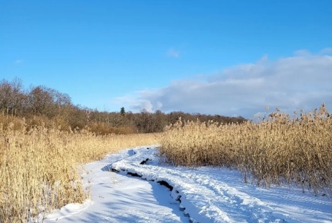 Санкт-Петербург: Коттедж Гостевой дом