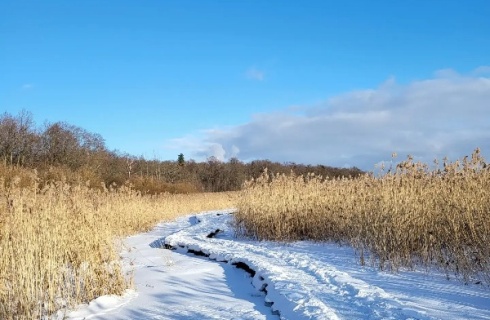 Санкт-Петербург: Коттедж Гостевой дом