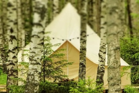 Сокольский городской округ: Глэмпинг Берег Грифона