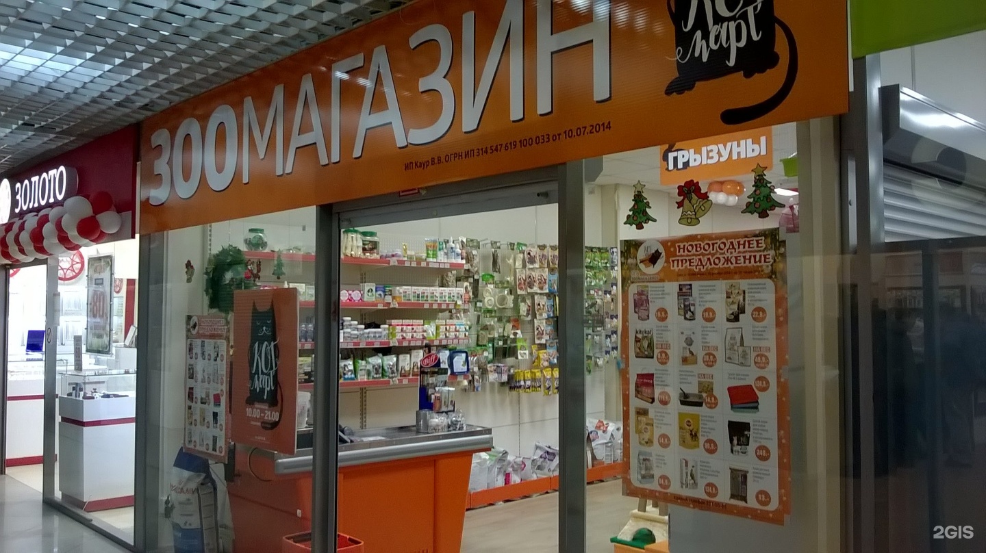 Лучший магазин для животных. Зоомагазин Новосибирск. Зоомагазин в Новосибирске с животными. Лучший зоомагазин Новосибирск.