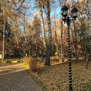 Фото от владельца Берёзовая роща, парк культуры и отдыха