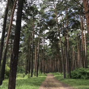 Фото от владельца Заельцовский, парк культуры и отдыха