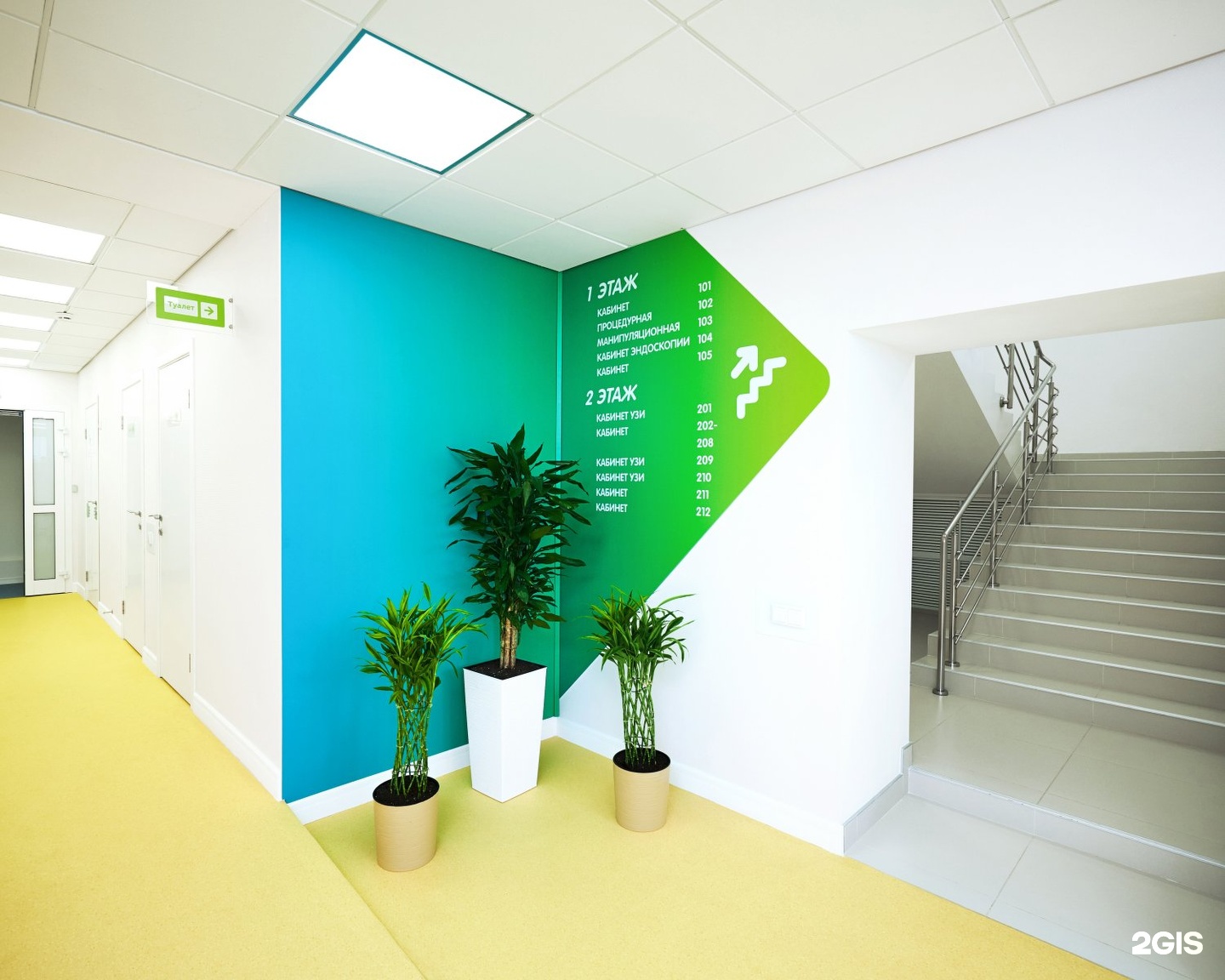 клиника главный пациент новосибирск. клиника главный пациент новосибирск. клиника главный пациент новосибирск б. клиника пациент новосибирск. клиника главный пациент новосибирск.