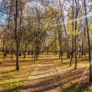 Фото от владельца Берёзовая роща, парк культуры и отдыха