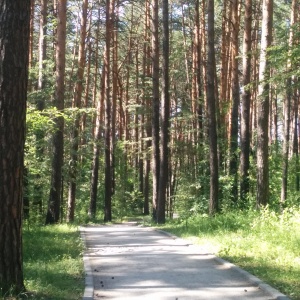 Фото от владельца Заельцовский, парк культуры и отдыха