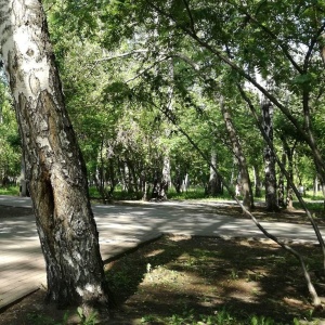 Фото от владельца Берёзовая роща, парк культуры и отдыха