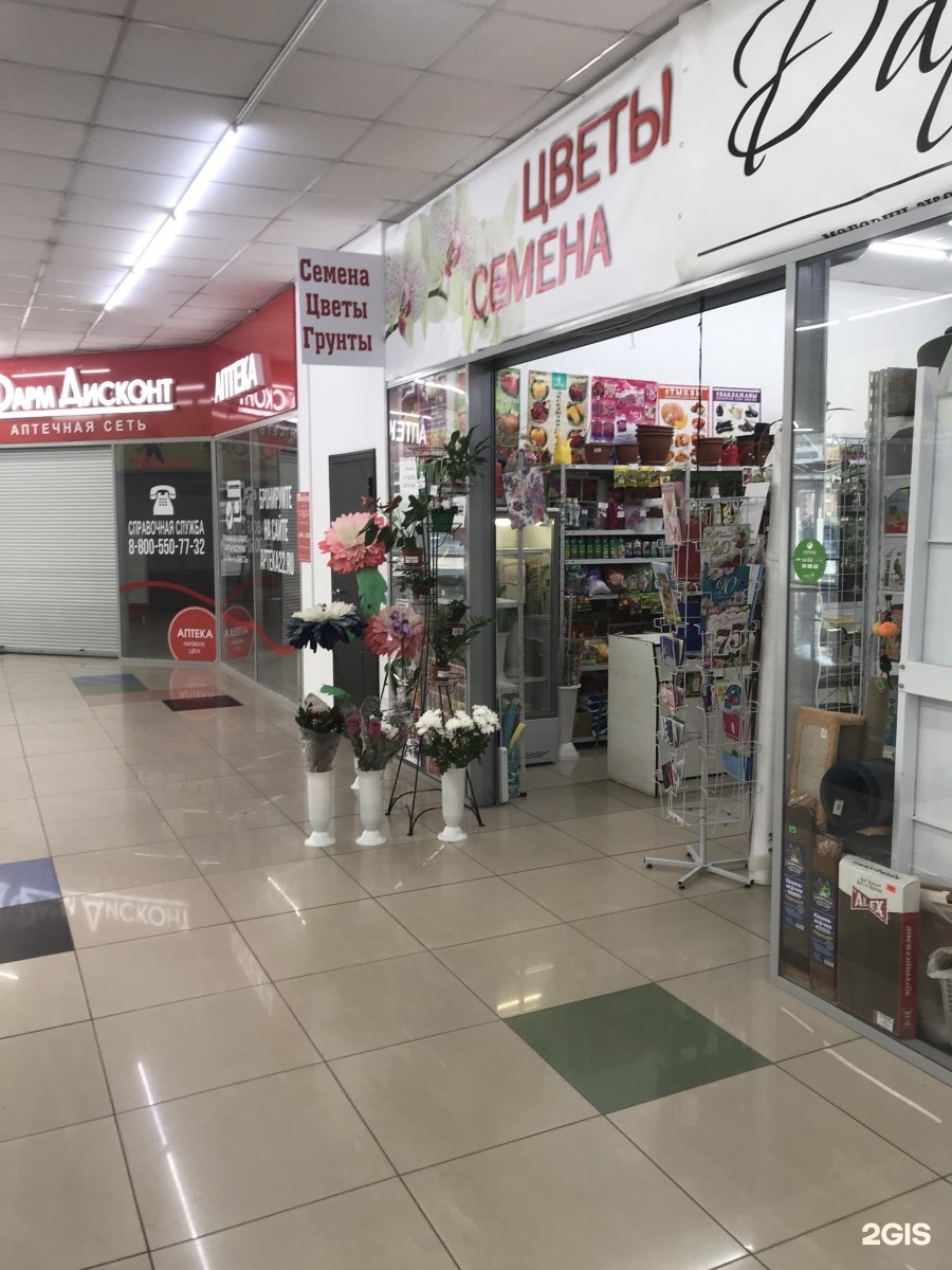 Цветочный магазин новосибирск. Интернет магазин семена центр новосибирск. Семена нск. Интернет магазин семена центр новосибирск. Интернет магазин семена центр новосибирск.