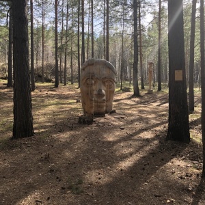 Фото от владельца Лукоморье, парк деревянных скульптур