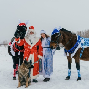 Фото от владельца ЛЕГЕНДА, конный клуб