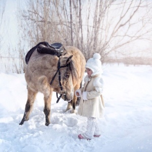 Фото от владельца ЛЕГЕНДА, конный клуб