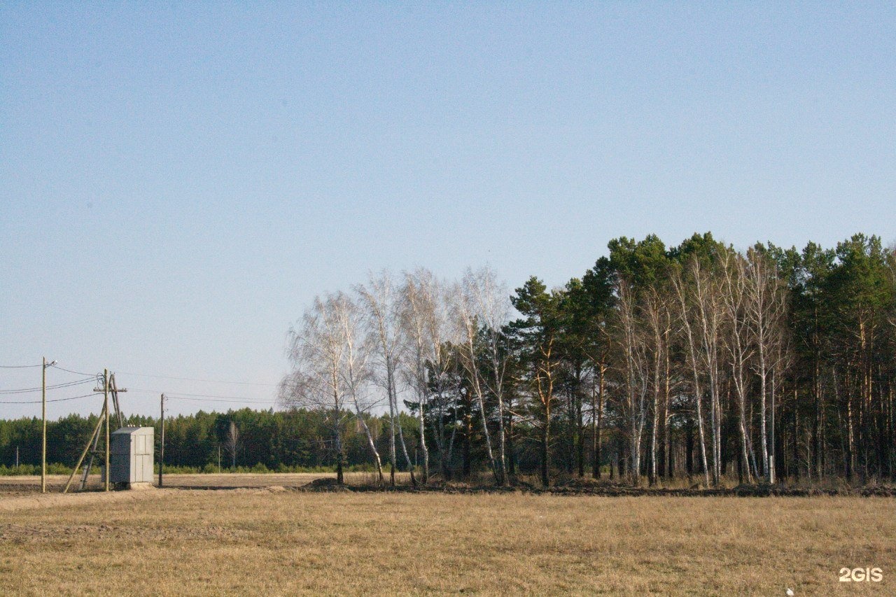 Тсн бор. Серебряный Бор ТСН. Серебряный Бор Тюмень